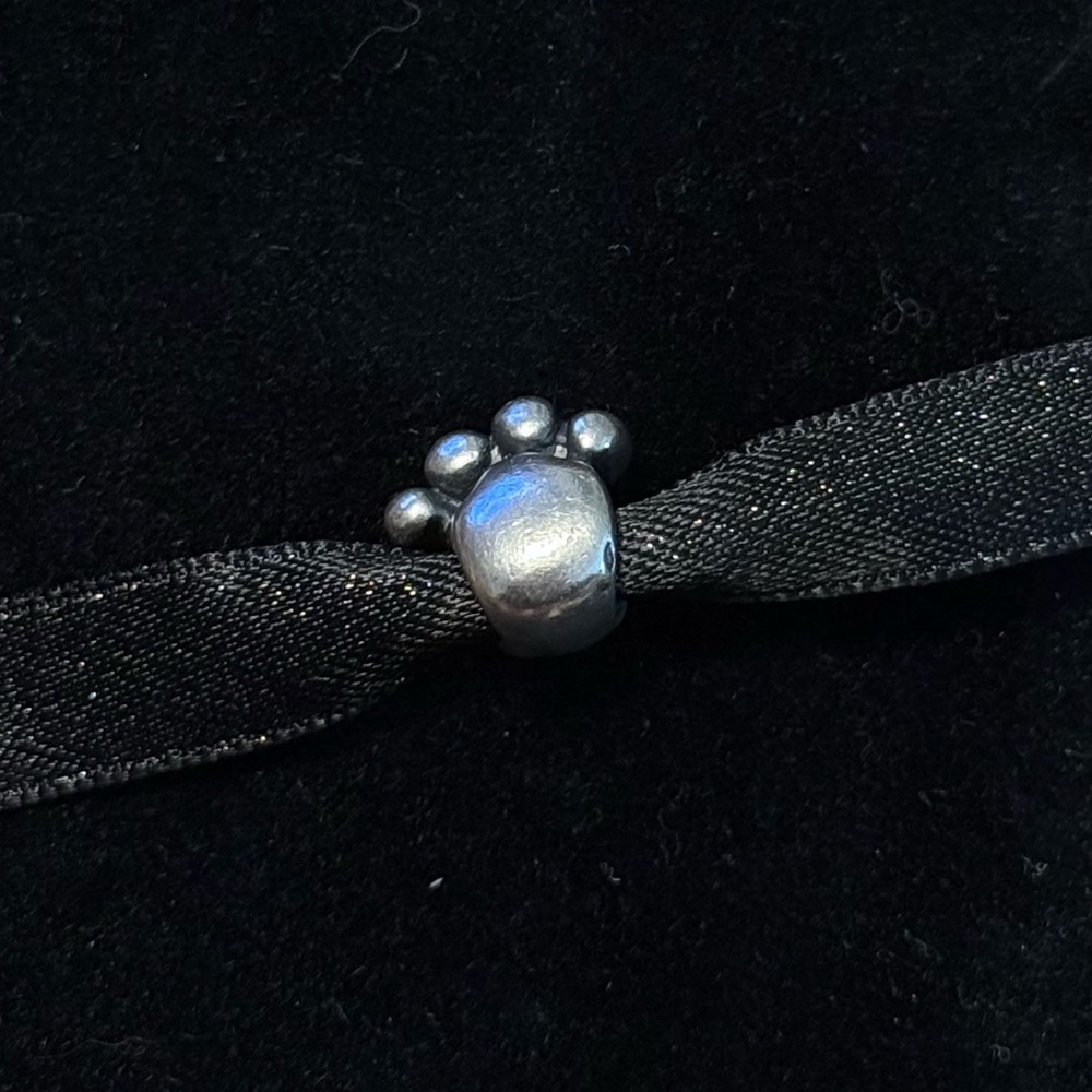 PAW PRINT SILVER CHARM
